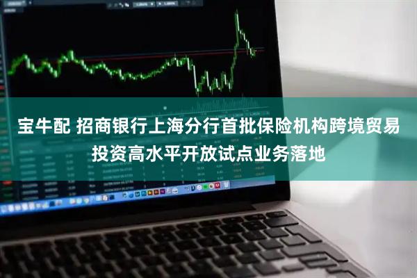 宝牛配 招商银行上海分行首批保险机构跨境贸易投资高水平开放试点业务落地