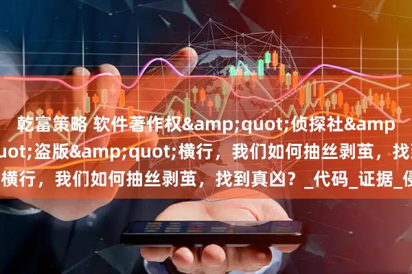 乾富策略 软件著作权&quot;侦探社&quot;：当&quot;盗版&quot;横行，我们如何抽丝剥茧，找到真凶？_代码_证据_侵权