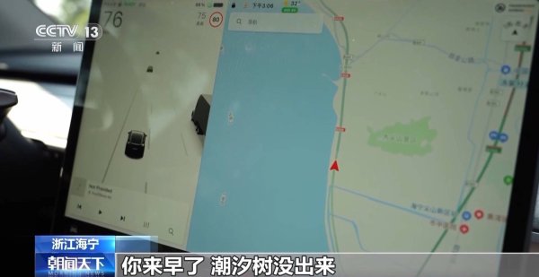 京海策略 寻找潮汐树就像开盲盒 记者这次开出了“隐藏款”